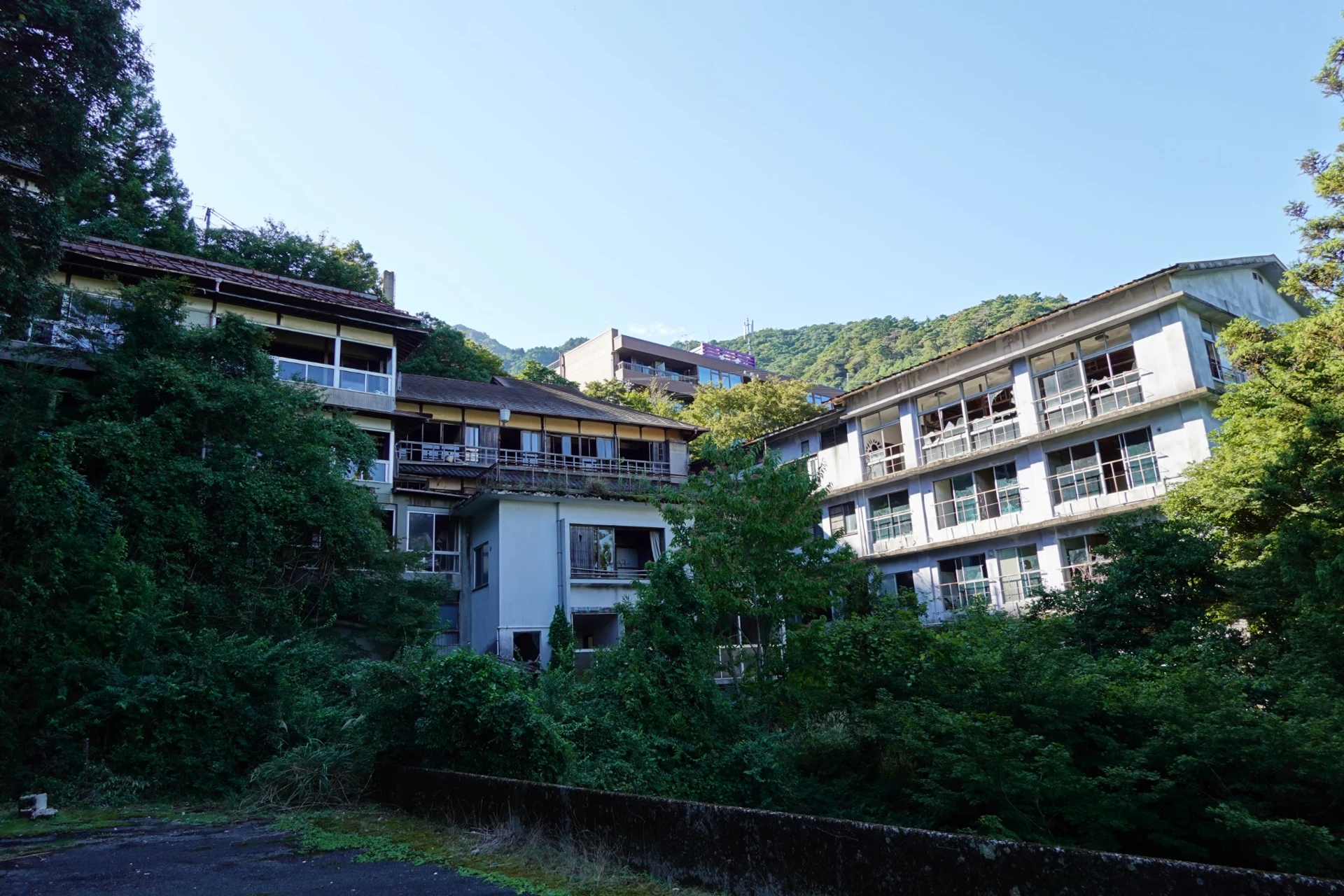 緑に囲まれた杉屋旅館の外観。所有者の許可のもと体験型イベントに活用している施設