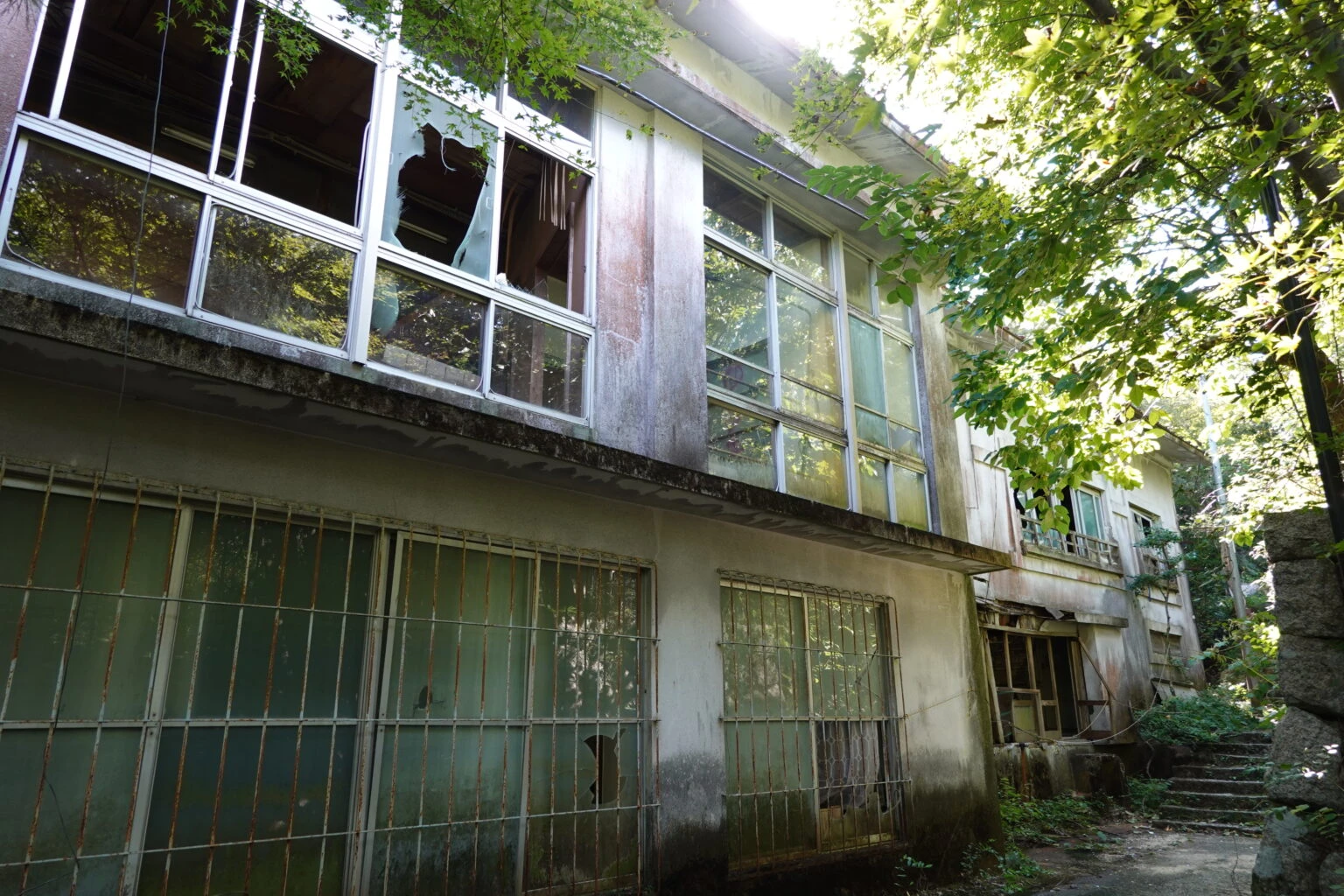 現地確認の対象イメージ